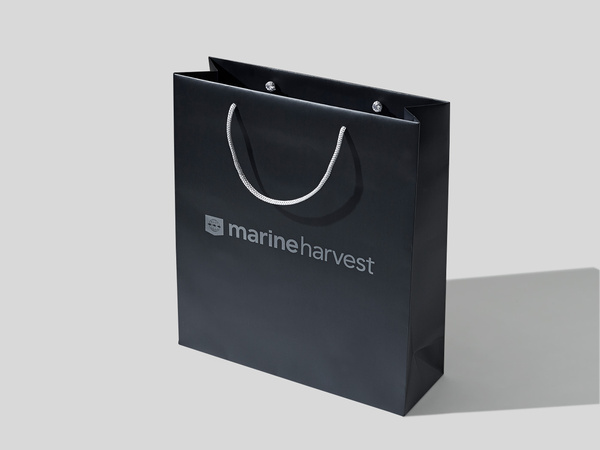 24x9x20 torba papierowa premium czarna laminowana matowa z nadrukiem reklamowym
